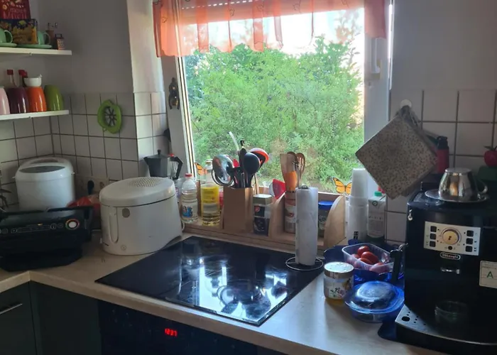 Privates Mit Balkon Und Uebernachtungsmoeglichkeit In Eine Wohngemeinschaft In Der Naehe Des Flughafens Leipzig,halle Apartment